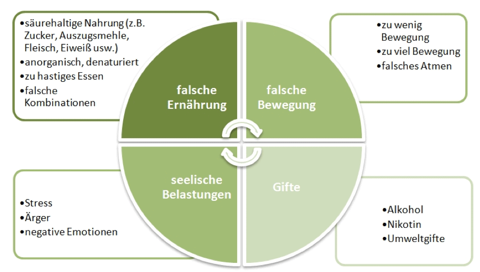 Parodontitis Und Saure Basen Haushalt Parodontitis Und Saure Basen Haushalt
